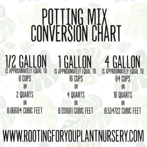 Christmas and Thanksgiving CACTUS Premium Soil Less Potting Mix Oregon ...