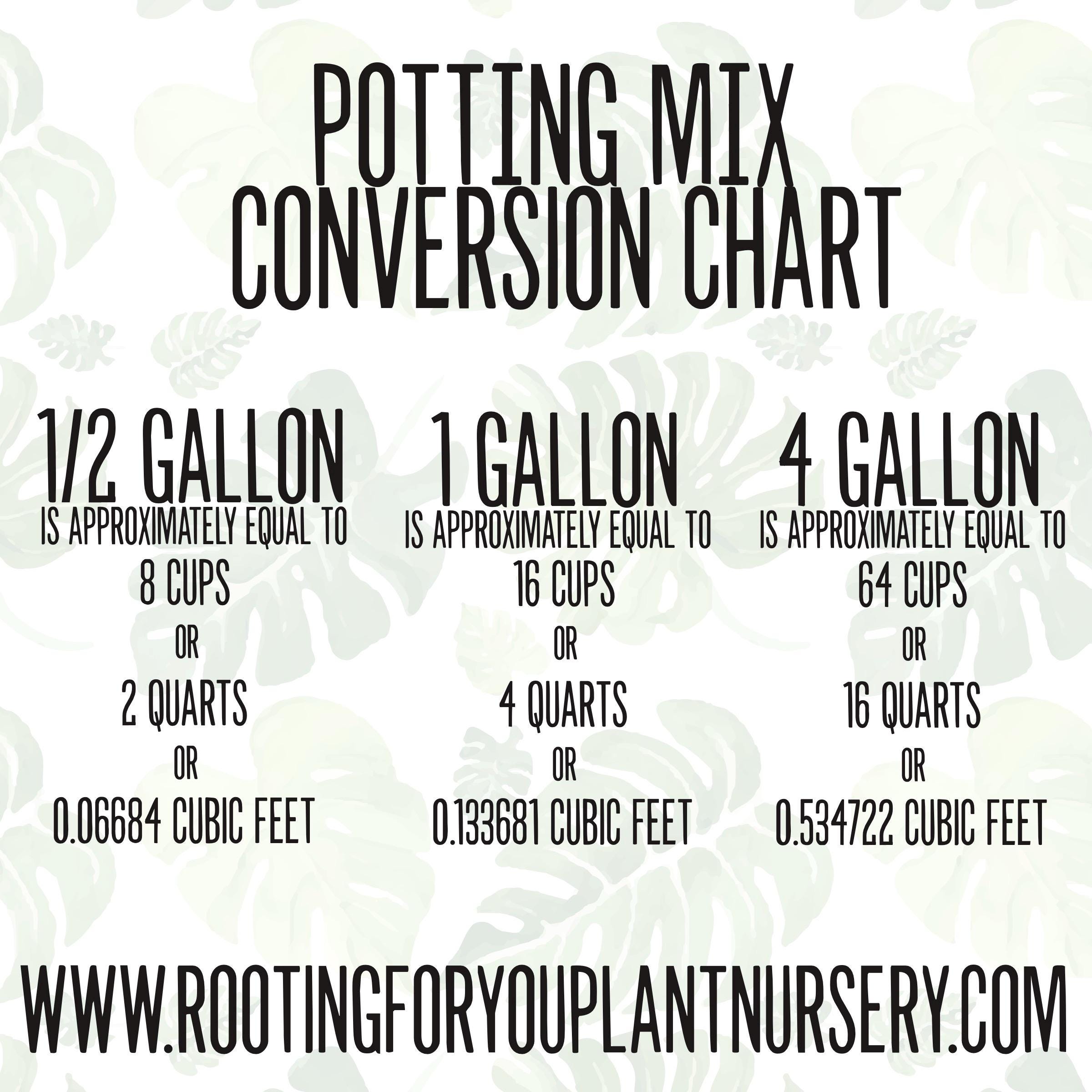 LAVENDER Premium Soil Less Potting Mix Oregon Licensed Nursery - - Etsy