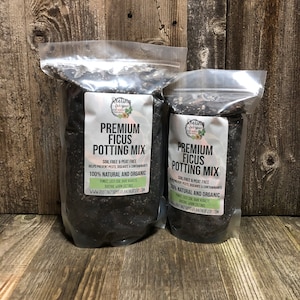 FICUS Premium Soil Less Potting Mix Oregon Licensed Nursery - - Etsy