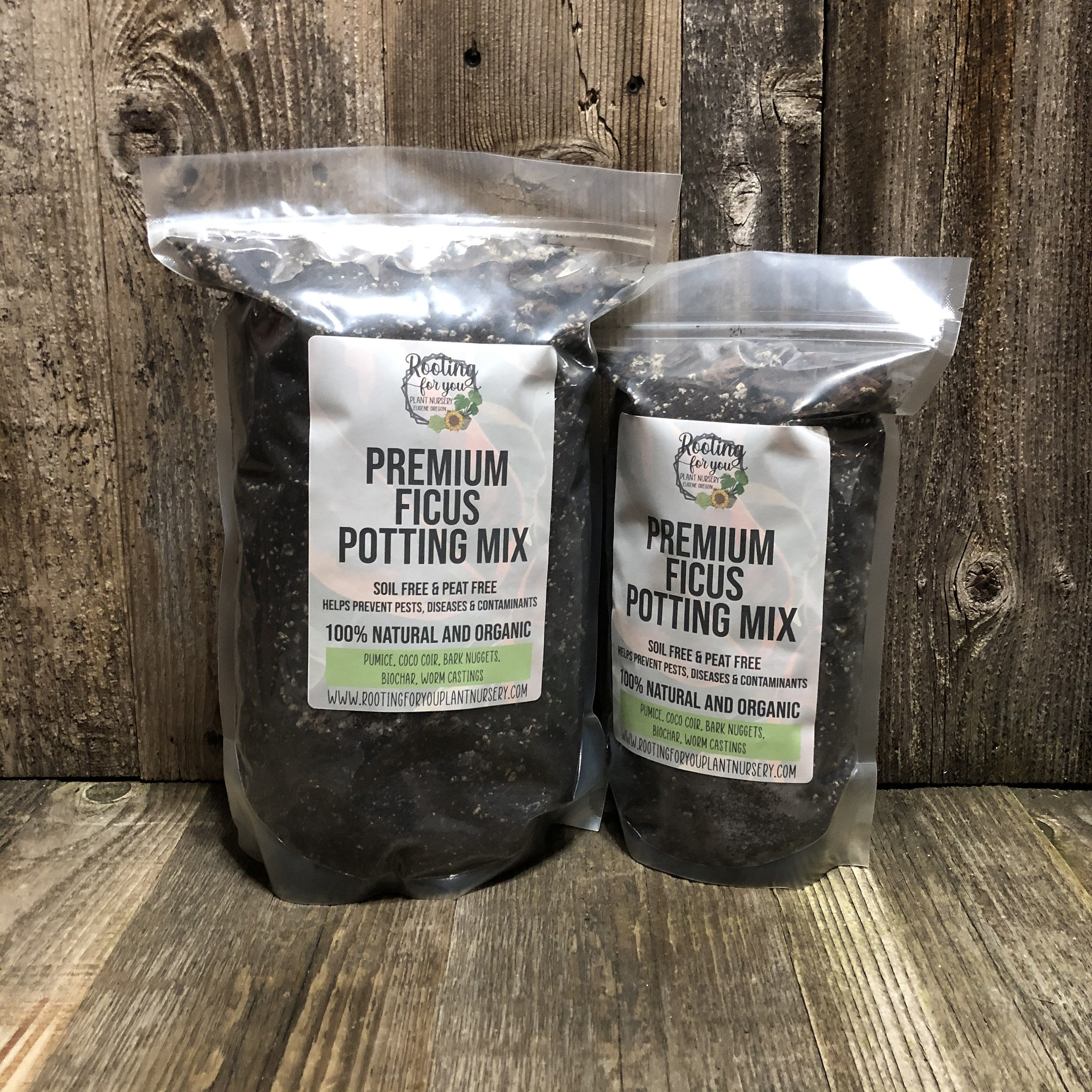 FICUS Premium Soil Less Potting Mix Oregon Licensed Nursery - - Etsy