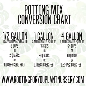 CACTUS & SUCCULENT Seed Starting Premium Soil Less Potting Mix Oregon ...
