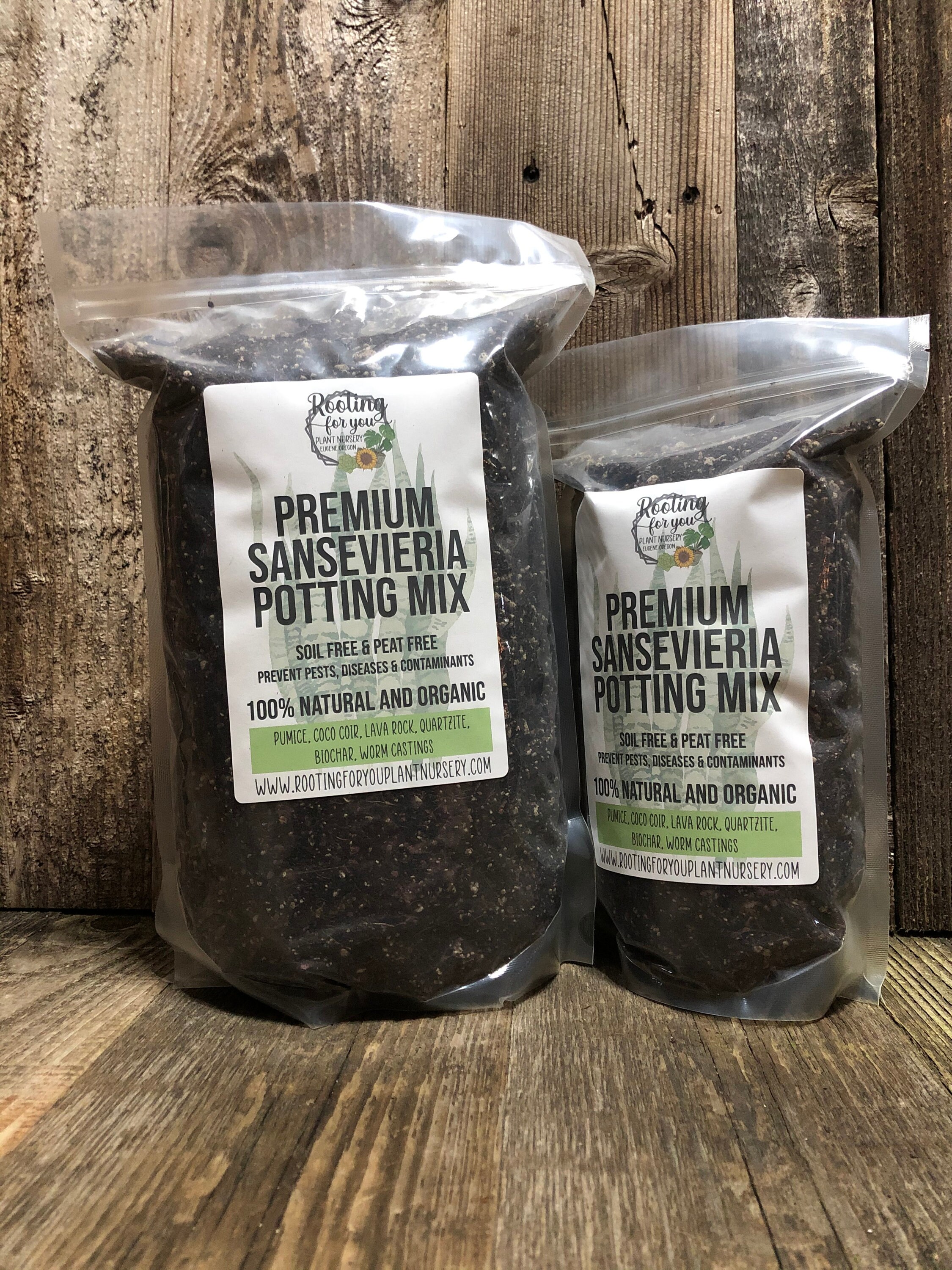 SANSEVIERIA Premium Soil Less Potting Mix Oregon Licensed Nursery - - Etsy