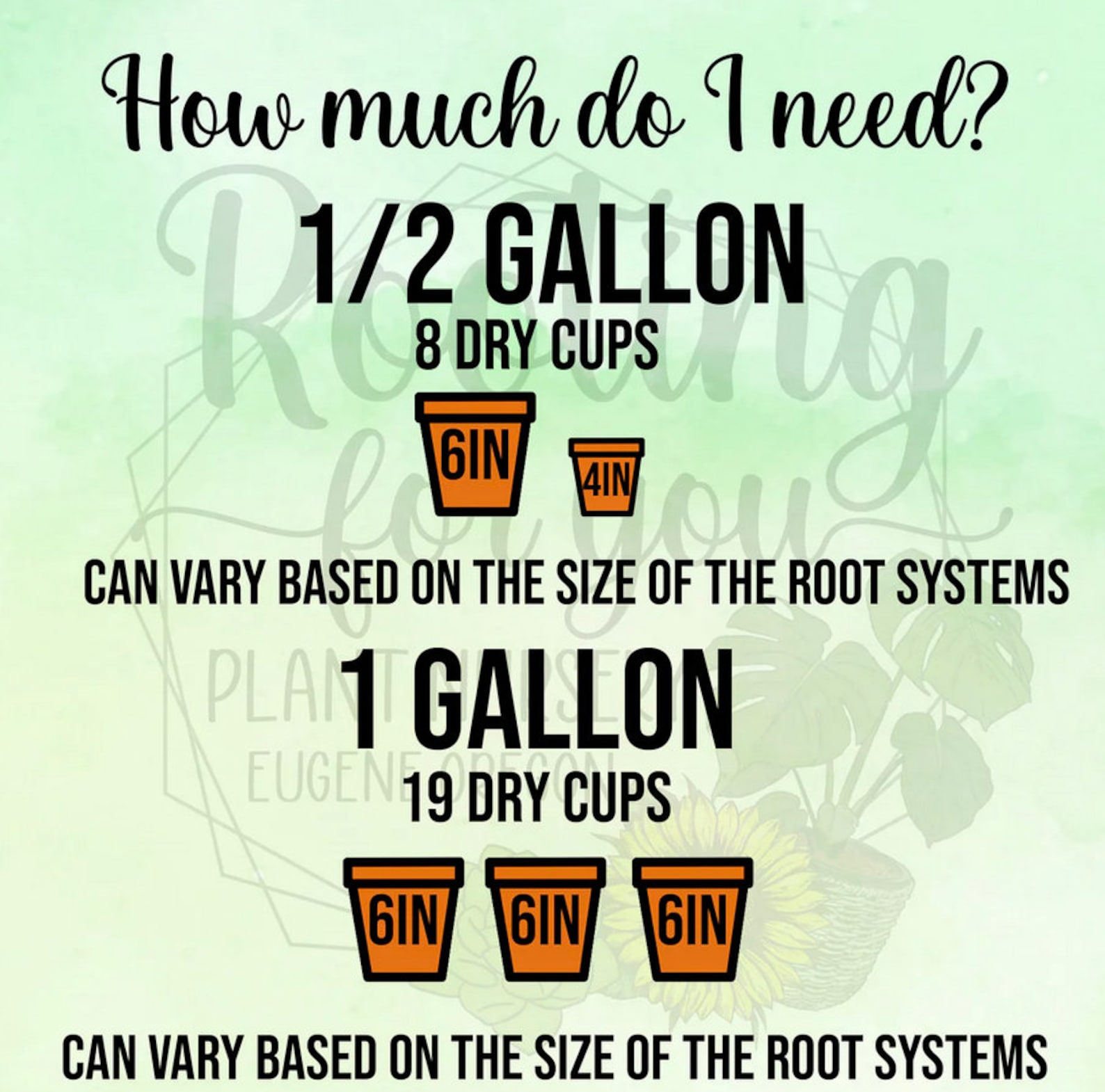 BLUEBERRY Premium Soil Less Potting Mix Oregon Licensed Nursery