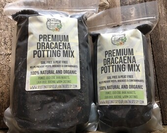 DRACAENA Premium Soil Less Potting Mix Oregon Licensed Nursery - - Etsy