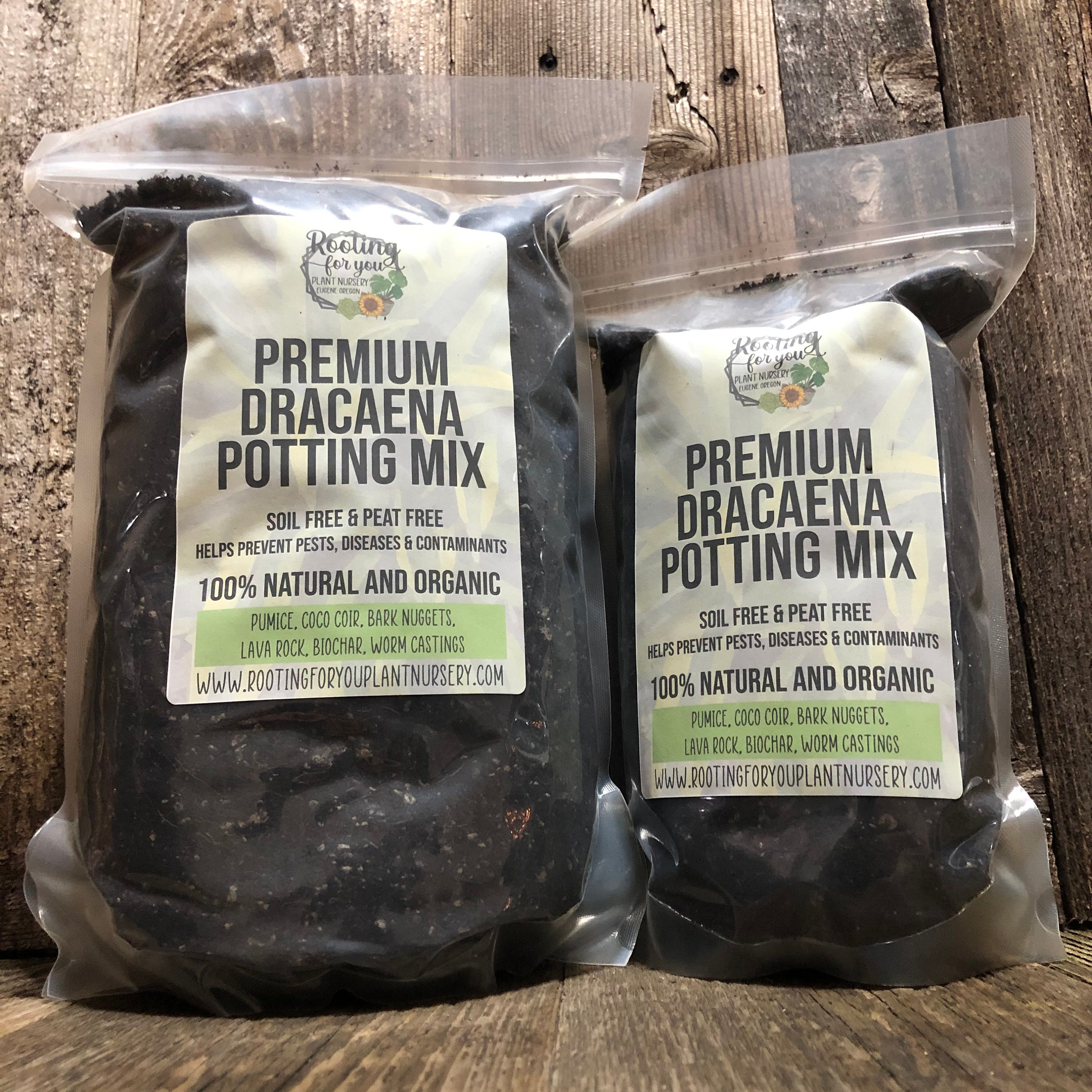 DRACAENA Premium Soil Less Potting Mix Oregon Licensed Nursery - - Etsy