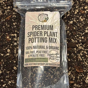 May include: A clear plastic bag filled with a dark brown potting mix for spider plants. The bag has a white label with the text "Rooting for you Plant Nursery", "Premium Spider Plant Potting Mix", "100% Natural & Organic", "Soil Free, Peat Free & Perlite Free", "Handcrafted Small Batch Plant Care", and "www.rootingforyouplantnursery.com".