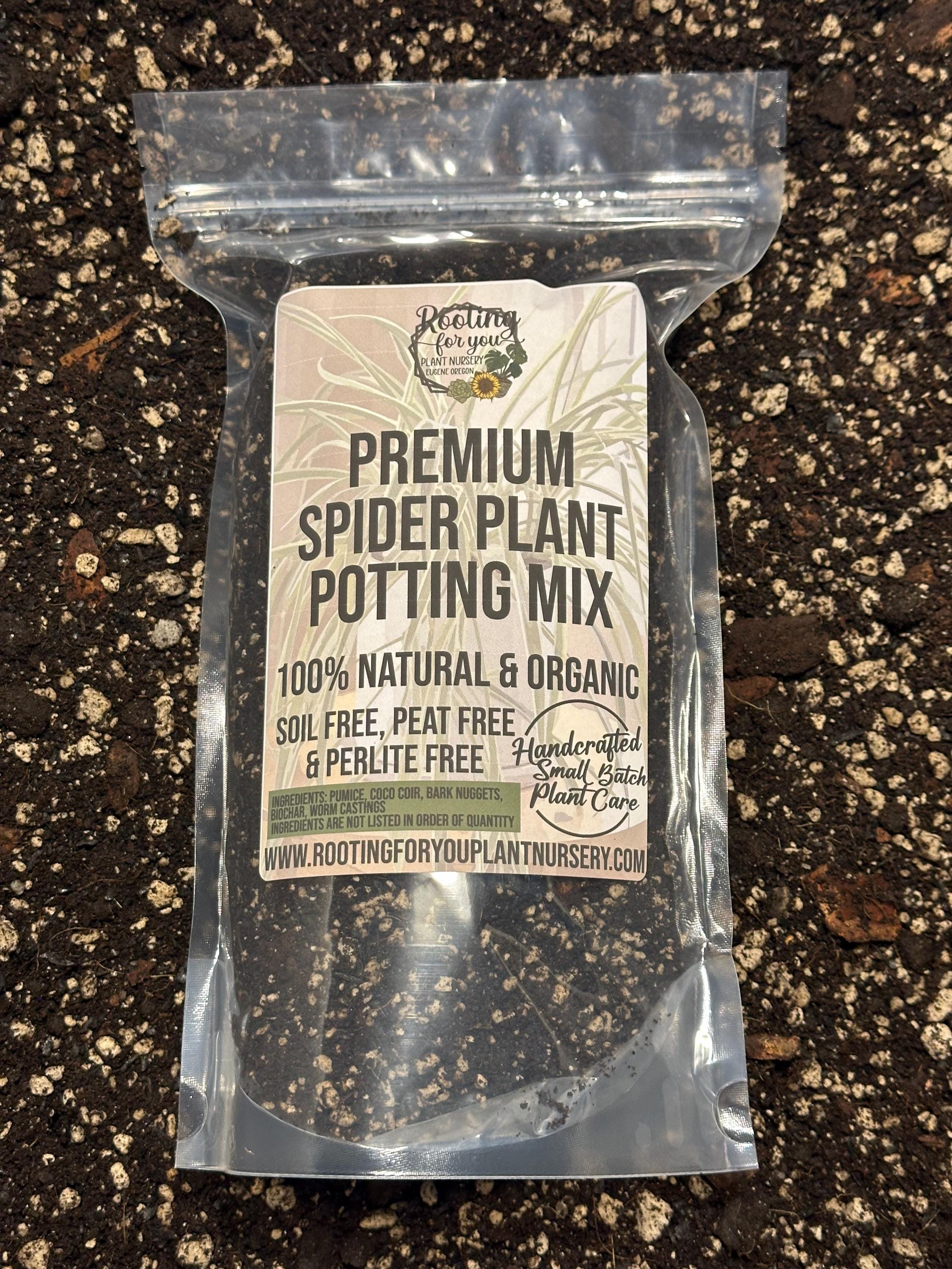 SPIDER PLANT Premium Soil Less Potting Mix Oregon Licensed Nursery - rootingforyouplantnursery.com
