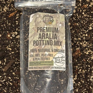 ARALIA Premium Soil Less Potting Mix Oregon Licensed Nursery - rootingforyouplantnursery.com