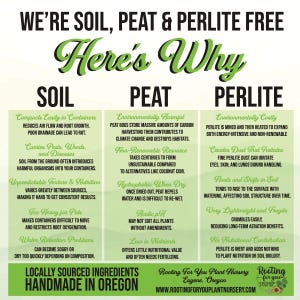 IVY Premium Soil Less Potting Mix Oregon Licensed Nursery - - Etsy
