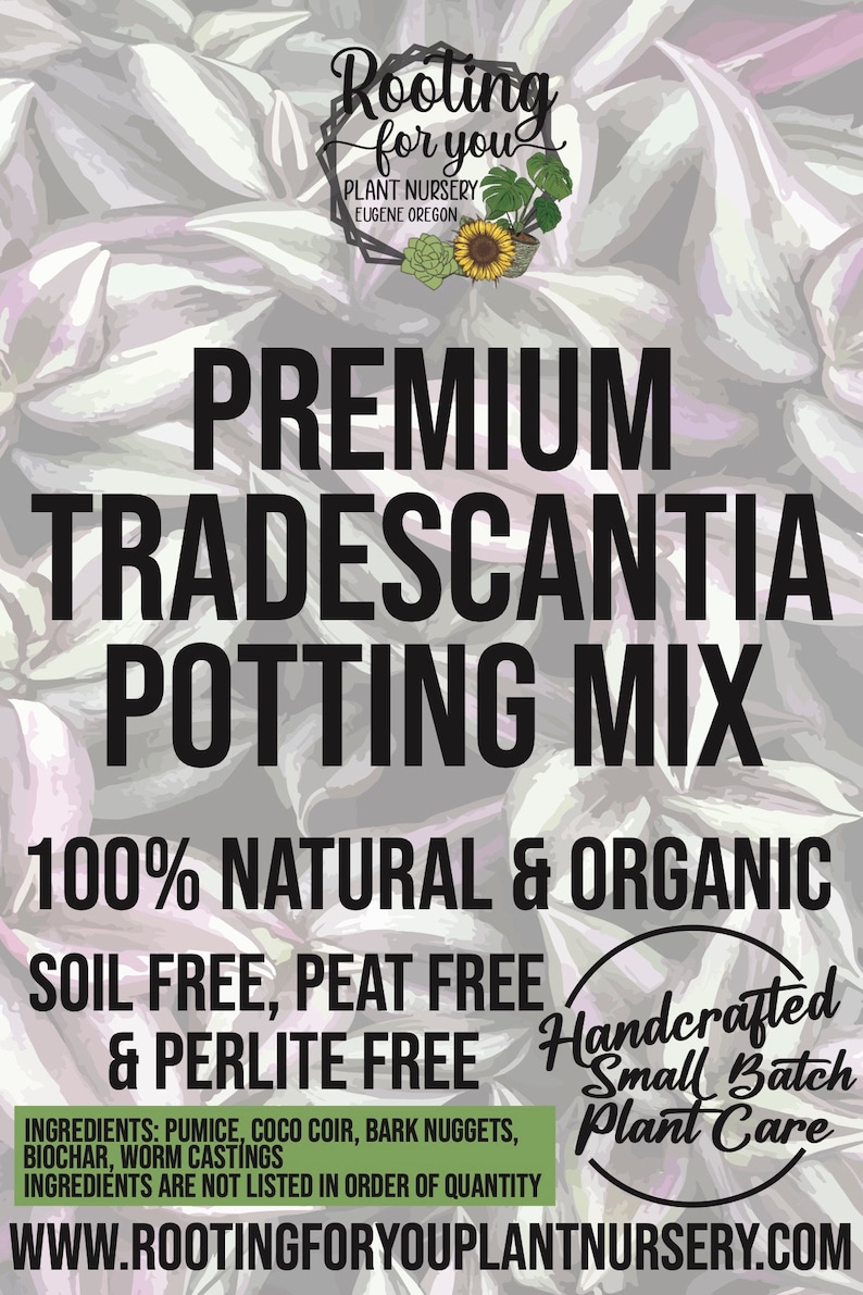 TRADESCANTIA Premium Soil Less Potting Mix Oregon Licensed Nursery - - Etsy