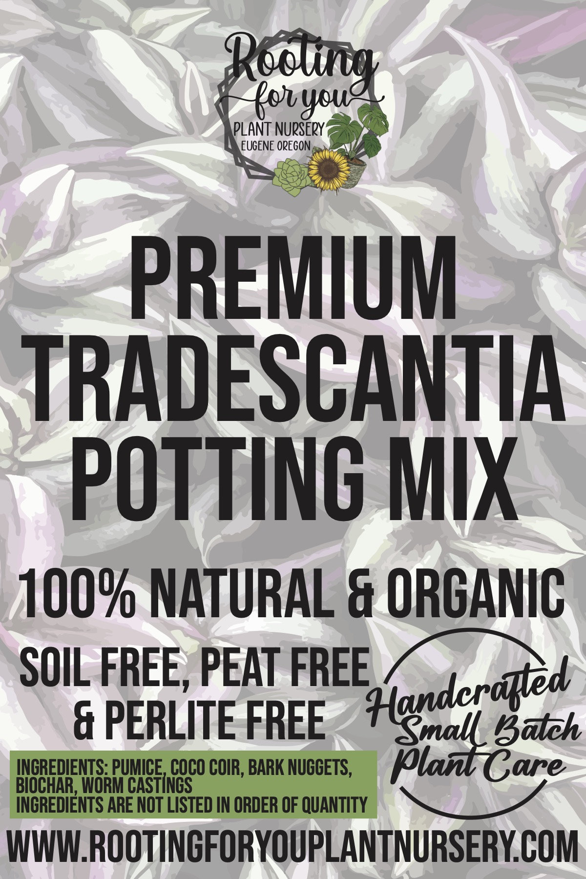 TRADESCANTIA Premium Soil Less Potting Mix Oregon Licensed Nursery - - Etsy