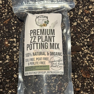 ZZ PLANT Premium Soil Less Potting Mix Oregon Licensed Nursery - rootingforyouplantnursery.com