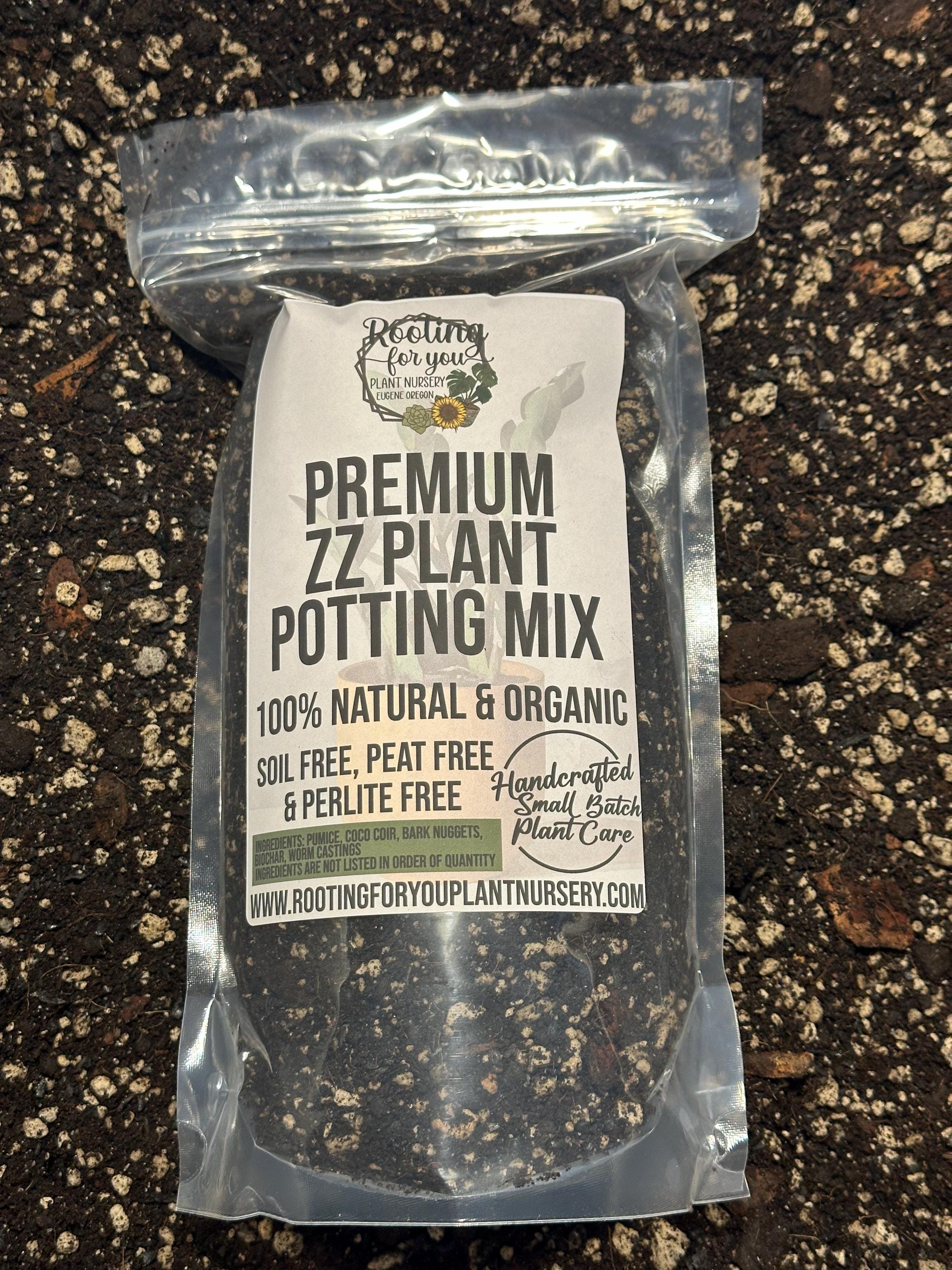 ZZ PLANT Premium Soil Less Potting Mix Oregon Licensed Nursery - - Etsy