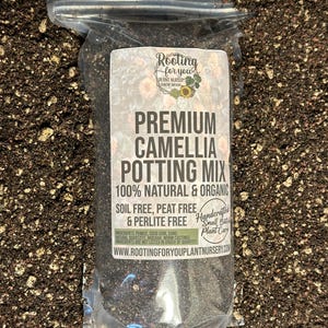 May include: A clear plastic bag filled with a dark brown potting mix for camellia plants. The bag has a white label with the text "Rooting for you Plant Nursery" and "Premium Camellia Potting Mix 100% Natural & Organic Soil Free, Peat Free & Perlite Free". The label also includes the text "Handcrafted Small Batch Plant Care" and the website address "www.rootingforyouplantnursery.com".