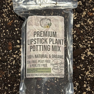 May include: A clear plastic bag filled with dark brown potting mix. The bag has a white label with the text "Rooting for you Plant Nursery" and "Premium Lipstick Plant Potting Mix". The label also states "100% Natural & Organic", "Soil Free, Peat Free & Perlite Free", and "Handcrafted Small Batch Plant Care". The website address "www.rootingforyouplantnursery.com" is printed at the bottom of the label.