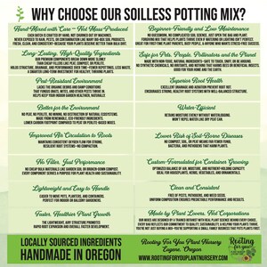 CACTUS & SUCCULENT Seed Starting Premium Soil Less Potting Mix Oregon ...