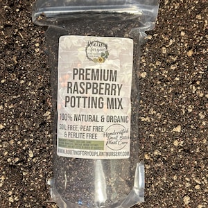 May include: A clear plastic bag filled with a dark brown potting mix. The bag has a white label with the text "Rooting for you Plant Nursery", "Premium Raspberry Potting Mix", "100% Natural & Organic", "Soil Free, Peat Free & Perlite Free", "Handcrafted Small Batch Plant Care", and "www.rootingforyouplantnursery.com".
