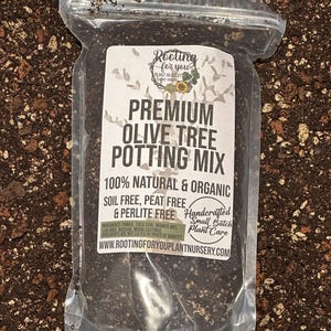 OLIVE TREE Premium Soil Less Potting Mix Oregon Licensed Nursery -