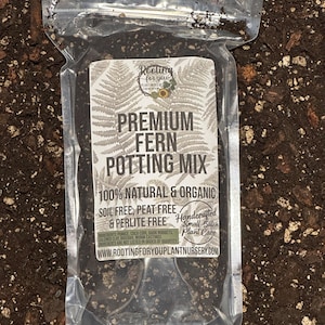 FERN Premium Soil Less Potting Mix Oregon Licensed Nursery - rootingforyouplantnursery.com