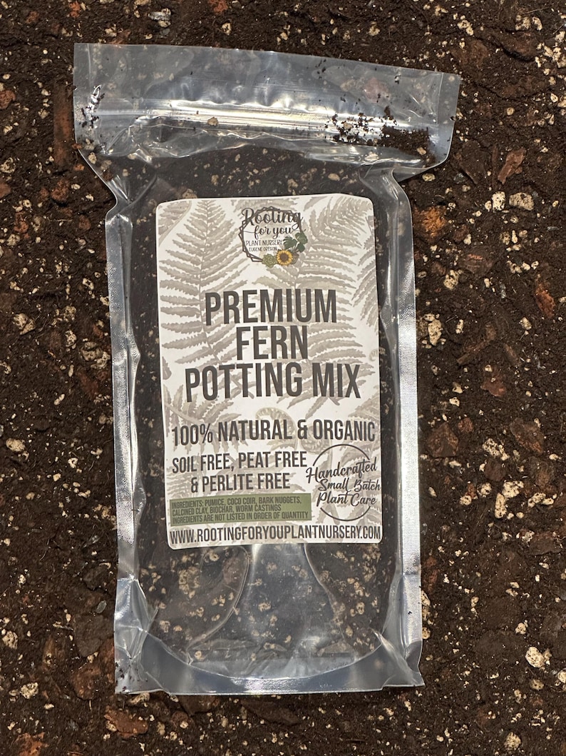 Fern Premium Soil Less Potting Mix Oregon Licensed Nursery - Etsy