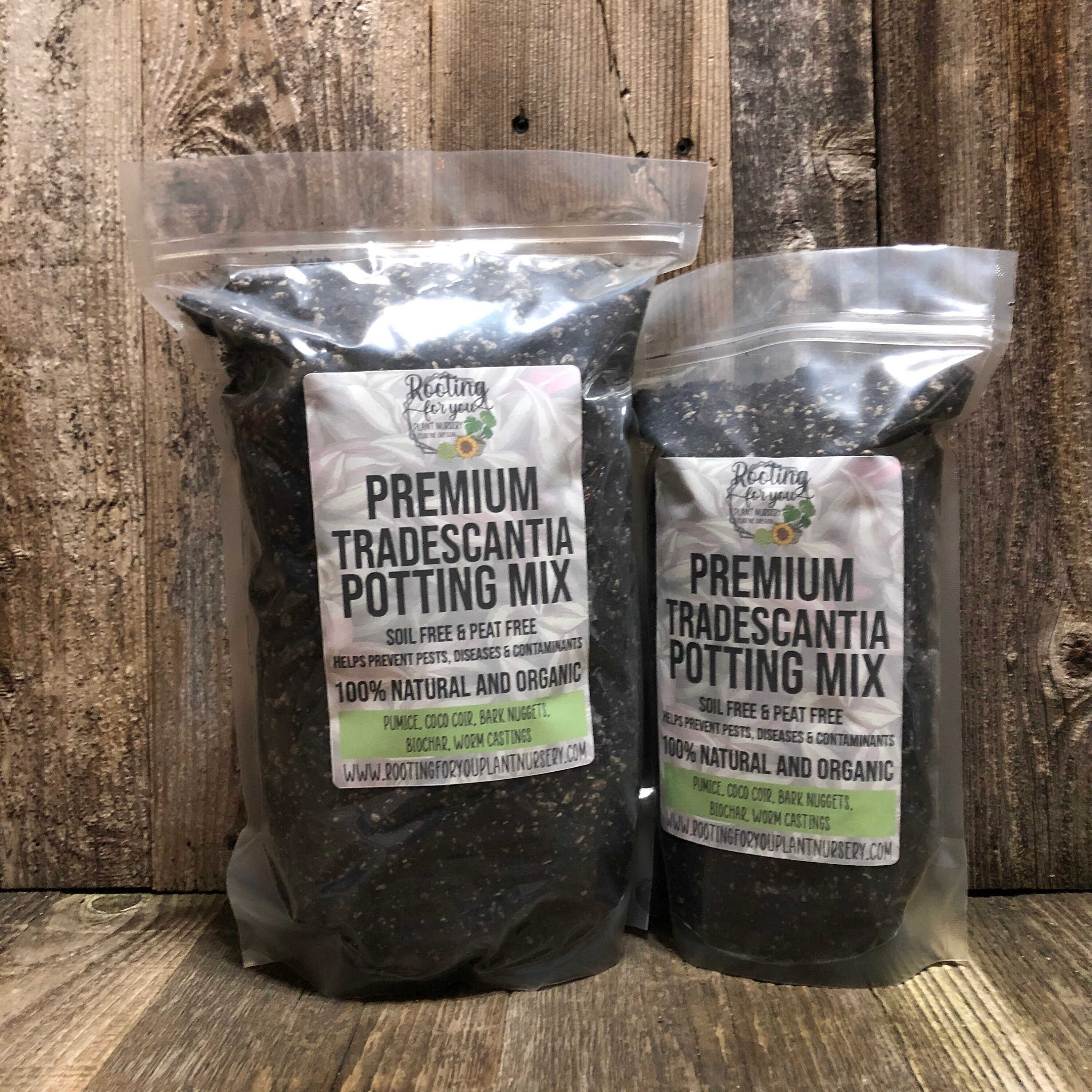 TRADESCANTIA Premium Soil Less Potting Mix Oregon Licensed Nursery - - Etsy