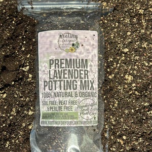 May include: A clear plastic bag filled with Premium Lavender Potting Mix. The bag has a label with the text "Rooting for you" and "100% Natural & Organic". The potting mix is soil free, peat free, and perlite free.
