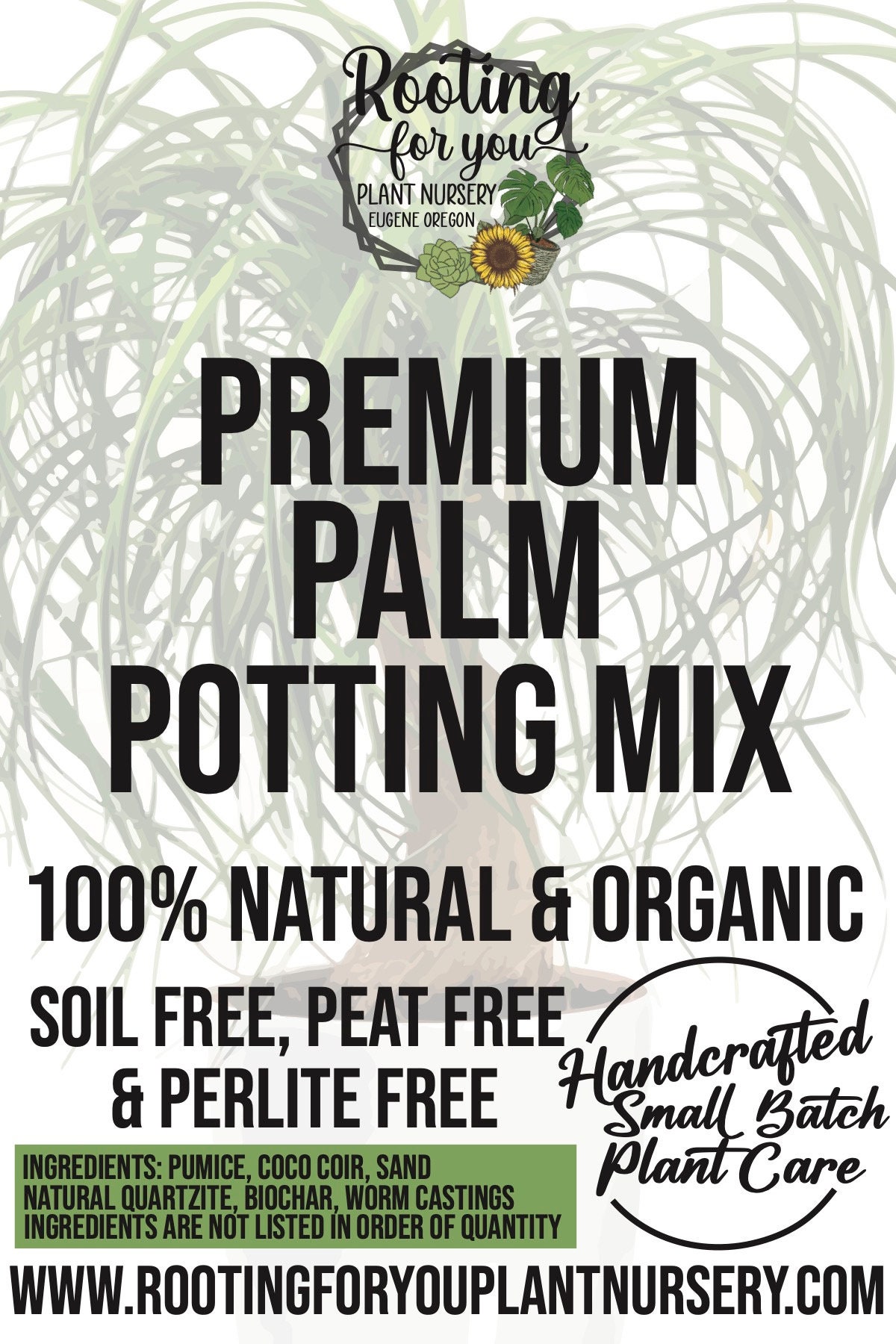 palm family plants Buy Areca Palm  Pet-Friendly Indoor Tropical Palm
