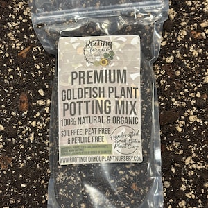 May include: A clear plastic bag filled with a dark brown potting mix for goldfish plants. The bag has a white label with the text "Rooting for you Plant Nursery" and "Premium Goldfish Plant Potting Mix 100% Natural & Organic Soil Free, Peat Free & Perlite Free Handcrafted Small Batch Plant Care WWW.ROOTINGFORYOUPLANTNURSERY.COM".
