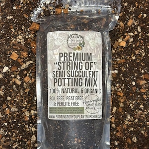 May include: A clear plastic bag filled with dark potting mix. The label reads "Premium 'String of' Semi Succulent Potting Mix" and lists ingredients. The mix is 100% natural and organic, soil-free, peat-free, and perlite-free. The bag is on a bed of soil.