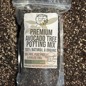 AVOCADO Premium Soil Less Potting Mix Oregon Licensed Nursery - rootingforyouplantnursery.com