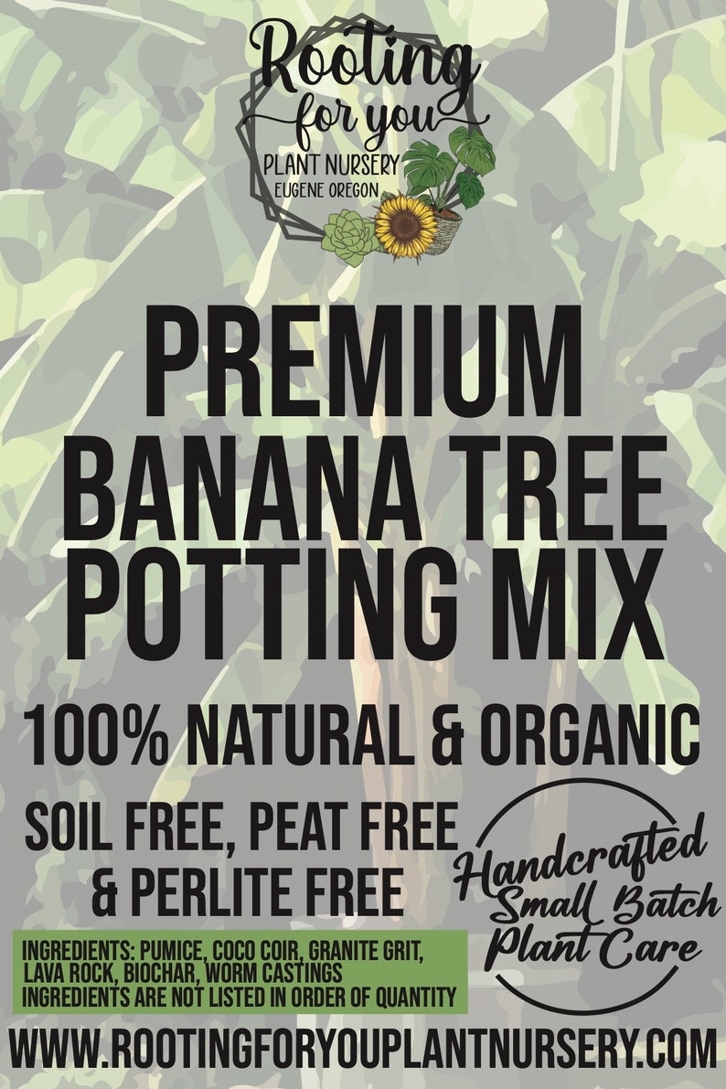 BANANA TREE Premium Soil Less Potting Mix Oregon Licensed Nursery - - Etsy