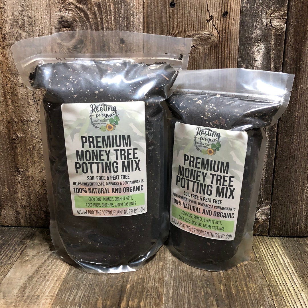 MONEY TREE Premium Soil Less Potting Mix Oregon Licensed Nursery ...