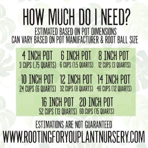 FICUS Premium Soil Less Potting Mix Oregon Licensed Nursery - - Etsy