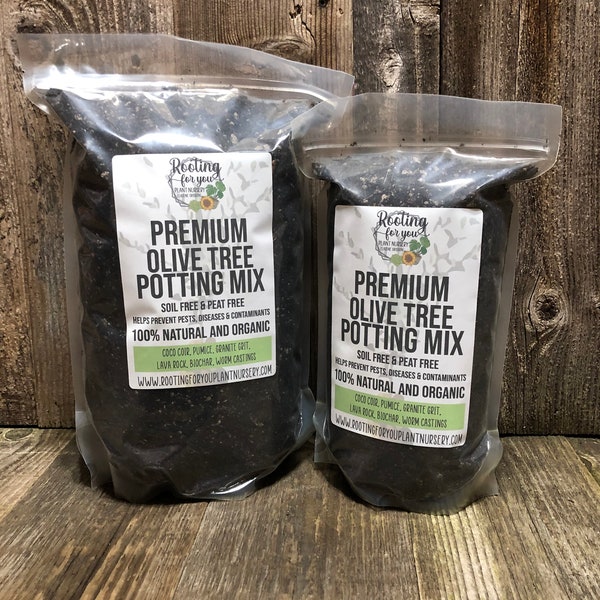 OLIVE TREE Premium Soil Less Potting Mix Oregon Licensed Nursery - rootingforyouplantnursery.com