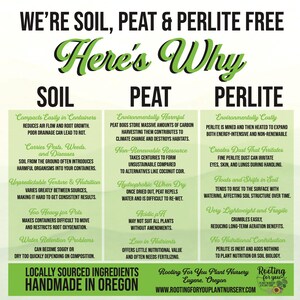 Mini Grit CACTUS & SUCCULENT Premium Soil Less Potting Mix Oregon ...