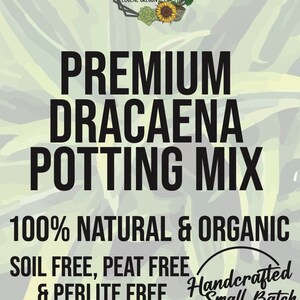 DRACAENA Premium Soil Less Potting Mix Oregon Licensed Nursery - - Etsy