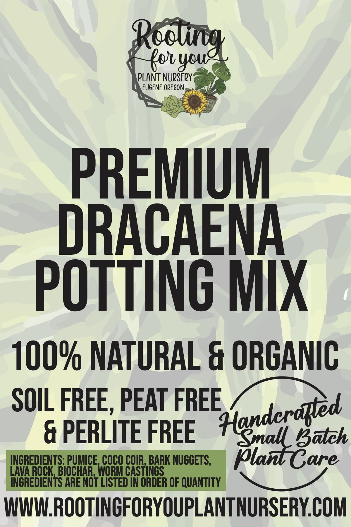 DRACAENA Premium Soil Less Potting Mix Oregon Licensed Nursery - - Etsy