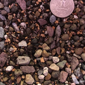 Cactus & Succulent Premium Soil Less Potting Mix Oregon Licensed ...