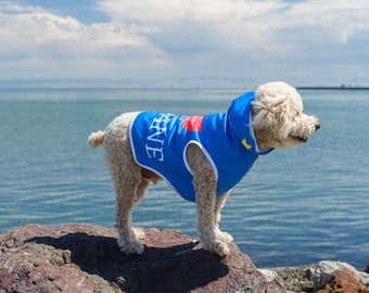 I Love Brisbane Pet Hoodie