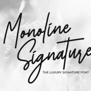 Monoline Signature Font - Handgeschriebene Schrift, Luxus Kalligraphie, Elegantes Branding, Signature Logo, Hochzeitszitate, Stilvolles Design
