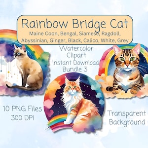 Clipart aquarelle chat pont arc-en-ciel 10 PNG chats Maine coon Bengale siamois Ragdoll abyssin art commémoratif animal de compagnie perte d'animal de compagnie téléchargement imprimable