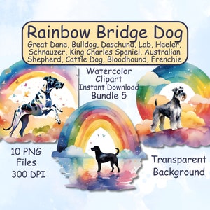 Rainbow Bridge Dog Watercolor Clipart 10 PNG Transparent Files Pet Memorial Art For DIY Crafts Scrapbooking Card Making & Digital Prints