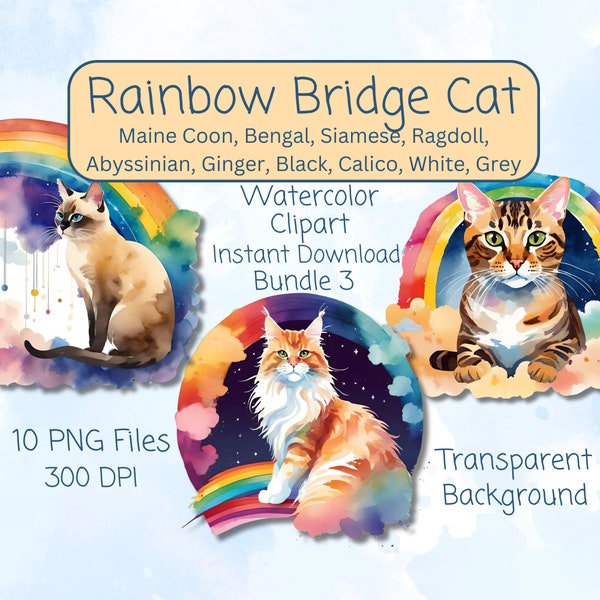 Rainbow Bridge Cat Clipart Bundle, Pet Loss Memorial, In Memory Of Maine Coon Bengal Siamese Ragdoll Abyssinian, Cat Lover Gift Heaven Angel