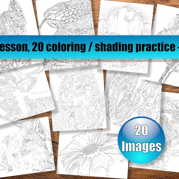 20 Printable Art Shading Practice