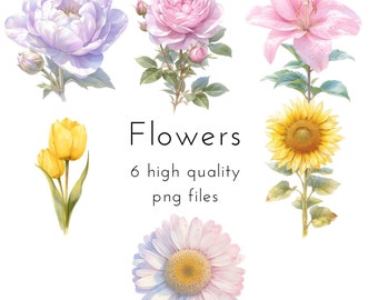 Flowers | 6 PNG files | Flowers Clipart | Transparent Background | Commercial Use | Printable Art
