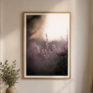 May include: A framed vertical wall art print featuring a soft-focus photograph of purple heather flowers against a hazy, light-filled background. The print is housed in a light-toned wooden frame with a white mat, displayed on a plain wall.