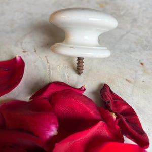 May include: A white ceramic cabinet knob with a rusty screw. The knob has a rounded top and a flared base. Red rose petals are scattered around the knob.