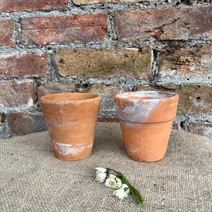 May include: Two small, terracotta plant pots with a weathered look. The pots are cylindrical with a slightly flared rim. A sprig of white and green flowers rests on the burlap surface in front of the pots. The background is a weathered brick wall.