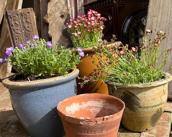 Antique Vintage Sankey Bulwell Terracotta Pot