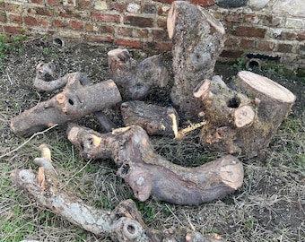 Natural Apple & Plum Wood/ Garden Fearure/ Stumpery/ Wildlife Habitat